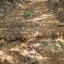 송정부분정비 이미지