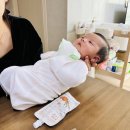 이월도토리칼국수 | [우주의 성장일기] 생후 41일-45일