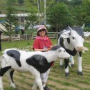 보배목장 이미지