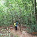 삼거리산장 이미지