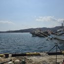 원투 | 차박원투낚시 도다리 조행기 | 포인트 완벽 후기