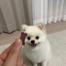 벌크커피화순점