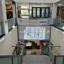 돌고래손칼국수 이미지