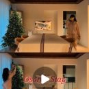 오소록스테이