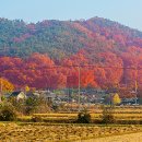 오미마을 이미지