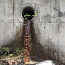 색달동-26 이미지