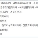 테이즈비 티스토리