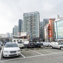 남해싱싱대게 이미지