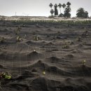 천은농장 이미지