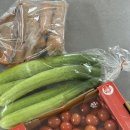 동일당한약방 | 한약다이어트, 다이어트한약 15일 복용 후기