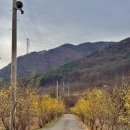 예곡마을회관 이미지