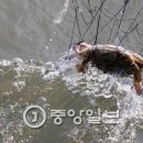 부안유통 이미지