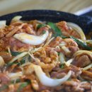 해적선생오리 이미지