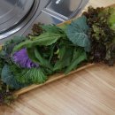 숭의쌈밥 이미지