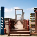 신안짱뚱어