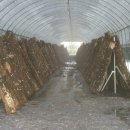 서면농장 이미지