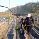 태우농장 이미지