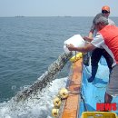 위도수산 이미지