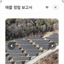 대한에너지 태양광발전소 | 태양광발전소거래 시작한다면? 솔라트리 앱으로 쉽고 안전하게