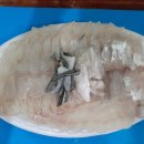 소문난자연산횟집 이미지