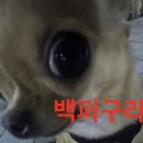 어라