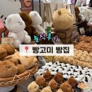 고미네일 | 수원 | 스타필드 팝업, '빵고미 빵집' 솔직 후기! 아기자기한 빵고미의 빵들이 한가득~