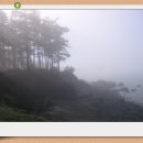 순수한인연 Daum카페