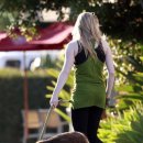 애견#(샾) 이미지