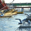 포구의 오후 이미지