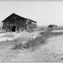 갯골생태공원(소금창고) 이미지