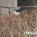 추잡한 성추행및 폭력으로 망가진 시인 " 고은 " 의 최후의 날.. 이미지