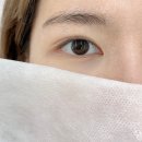 보니떼 네이버블로그