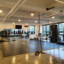 팀엑스복싱 이미지