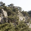 (주)신화비아이에프 | [경상북도 경주시] 경주 남산 용장사곡 삼층석탑
