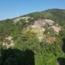 예스(단지내)공인중개사사무소 이미지