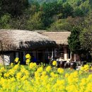 외암민속마을 이미지