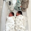 예쁜 글씨(초등 드림캠프) | 더베드캠프511 침대 베블리나 내돈내산 장/단점 후기