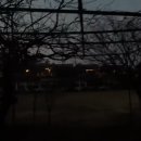 소원초등학교 의항분교장 이미지