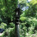 영락농원 -4 Daum카페