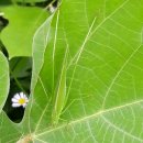 신미주어린이집 이미지