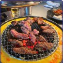 신마포갈매기 이미지