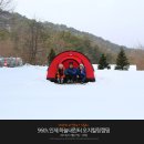 달빛농원컨설팅 | 96th.인제 하늘내린터 오지힐링캠핑 - 원대리 자작나무숲 트레킹