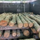 봉양농장 이미지