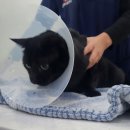 연부농장 이미지