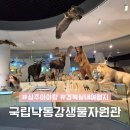 승마장 야외화장실 2 | 국립낙동강생물자원관 상주 생태박물관 아이랑 실내 경북 나드리