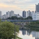 널디롯데 | May. 3rd 동그리 일상