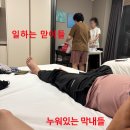 호수정원 | 테야 테야 갈테야 속초여행 갈테야♬