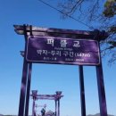 퍼플purple