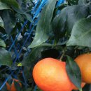 현승농장 이미지