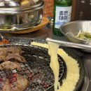 신갈매기 이미지